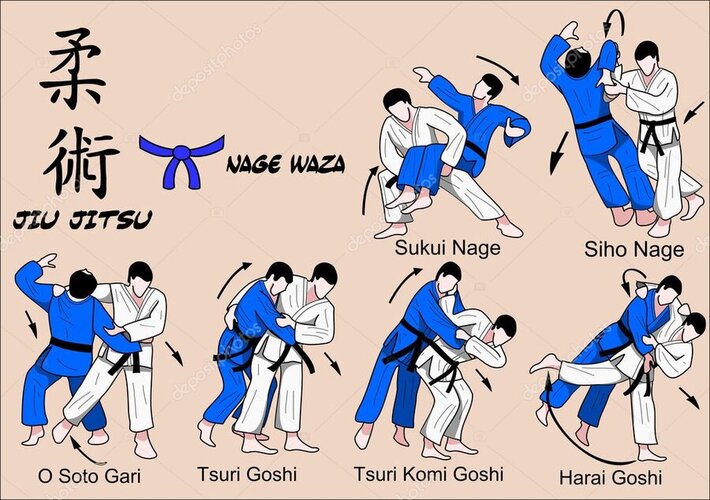 depositphotos_9981973-stock-illustration-judo-and-jiu-jitsu-techniques.jpg