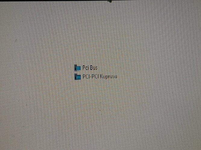 Sistem Aygıtları PCI-PCI Köprüsü.jpeg