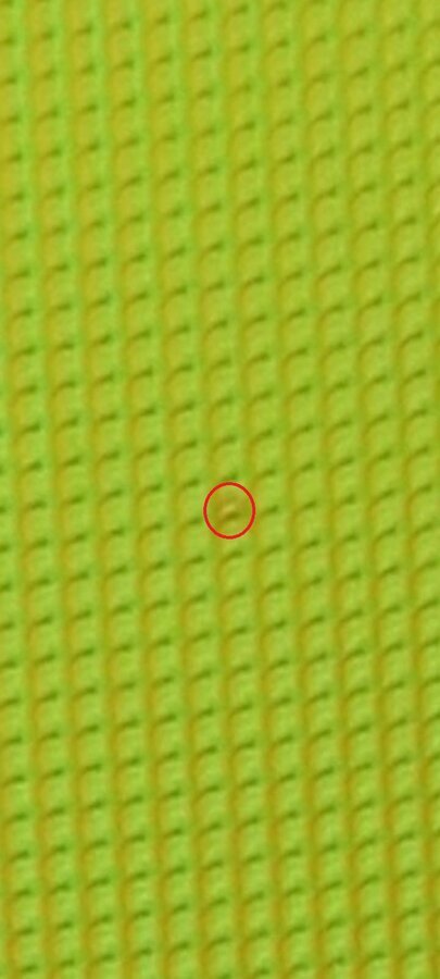 ZOOM 2 (2).jpeg