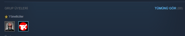 steam-grup.PNG