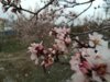 IMG_20170404_072354.jpg