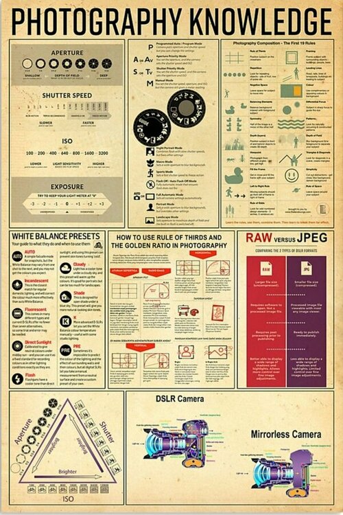 334968bfecc22b3f25a91e62c6f2490f.jpg 334968bfecc22b3f25a91e62c6f2490f.jpg