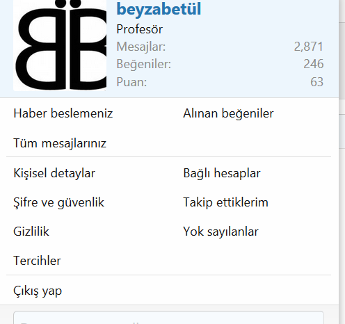 beyza.PNG