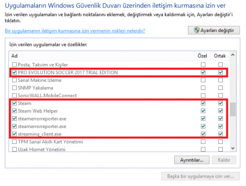 Windows Güvenlik Duvarı.PNG