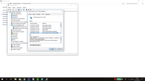 aygıt Yöneticisi Sürücü Özellikler Kısmı.png