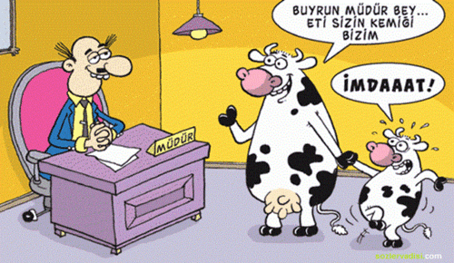 Okul-İle-İlgili-Komik-Sözler.gif