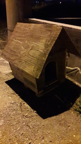 20181229_183646 - Kopya.jpg