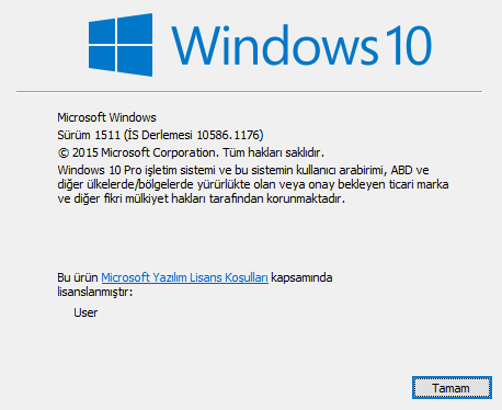 Windows Hakkında 22.06.2019 12_28_33.png