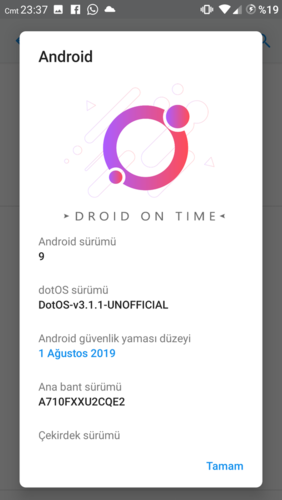 Screenshot_20190817-233749_Ayarlar.png