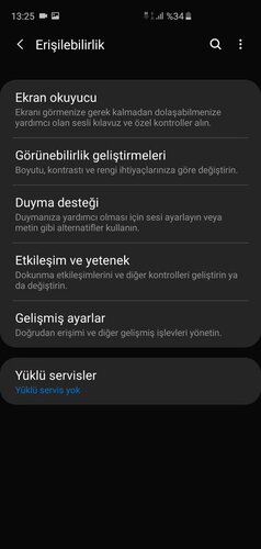 Screenshot_20190820-132502_Accessibility.jpg