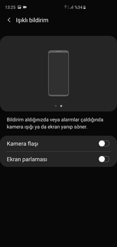 Screenshot_20190820-132518_Accessibility.jpg