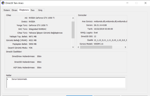 DirectX Tanı Aracı 31.10.2019 21_53_09.png