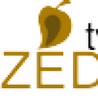 zedo.tv