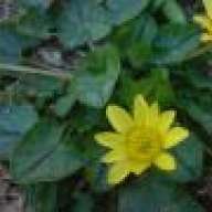 yasir_47