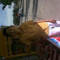 serhat algac