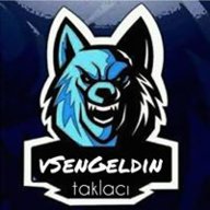 vSenGeldin