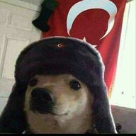 Ozi36