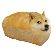 Dogebread