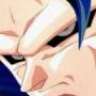 ssj5