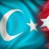 Cnc orhan