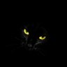 DarkCat