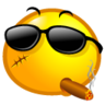 esergen