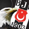 Kartal15