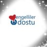 engellilerdostu.com