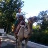 Yiğit Çelik0000