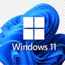 Win11