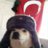 Anilcan5555