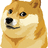 Mr. Doge