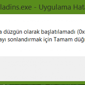 Ekran Alıntısı