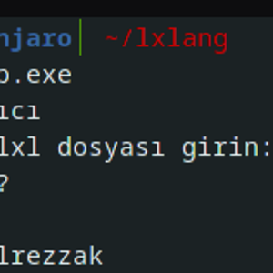 LXL ama sıkıntıları gizlenmiş.