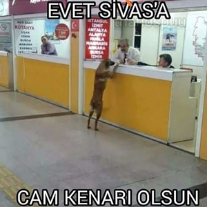 Cam kenarı olsun.