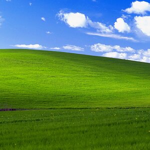 Windows XP Duvar Kağıdı