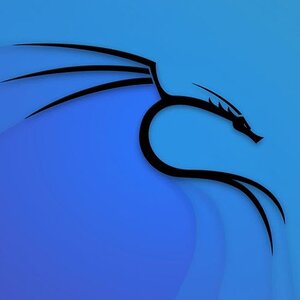 Kali Linux Fotoğraf