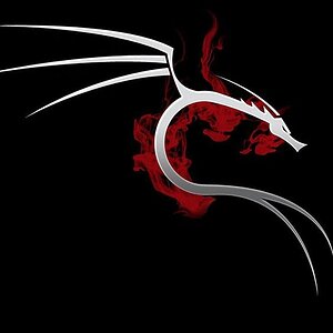 Kali Linux Wallpaper