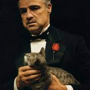 Don Vito Corleone.