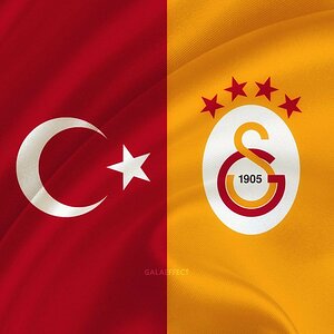 Türk Bayrağı ve Galatasaray Arması.jpg