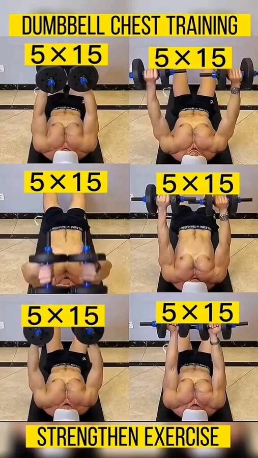 0 05 chest workout with dumbell chest workout with dumbell #h #lifestyle#woodworking #health.jpg