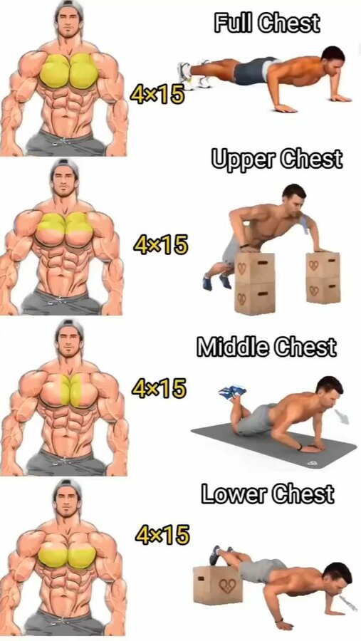 0 08 Ultimate WORKOUT upword.jpg