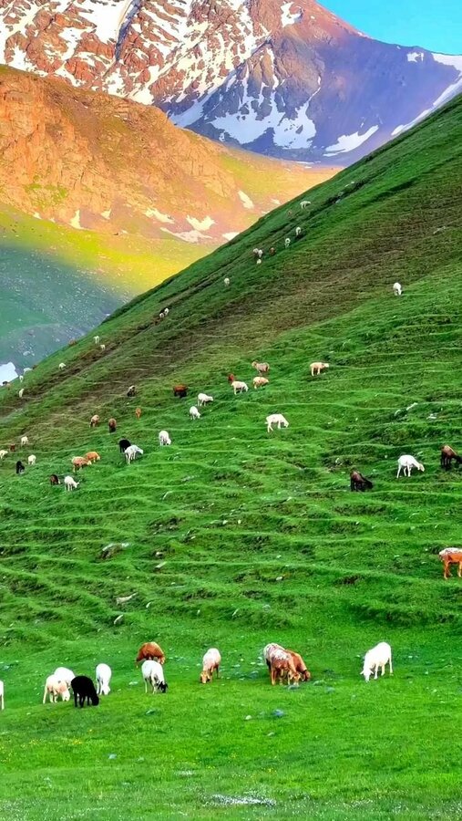 0 11 Günaydın, cumanın hayrı, bereketi üzerinize olsun.🌞🌞🤲🤲🤲🤲 🌾Buğdaytanem Emine🌾.jpg