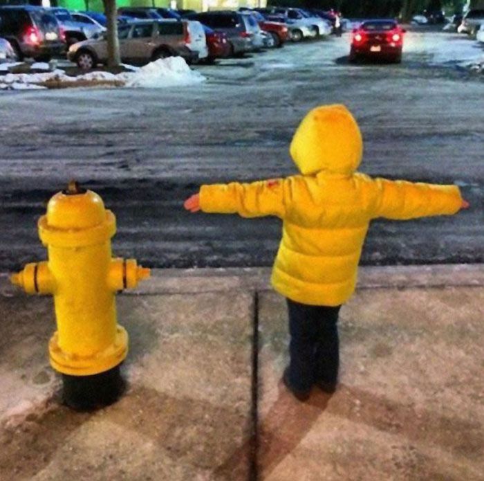 100 Things Blending Perfectly Into Their Surroundings, http photovide.com things-blending-perf...jpg