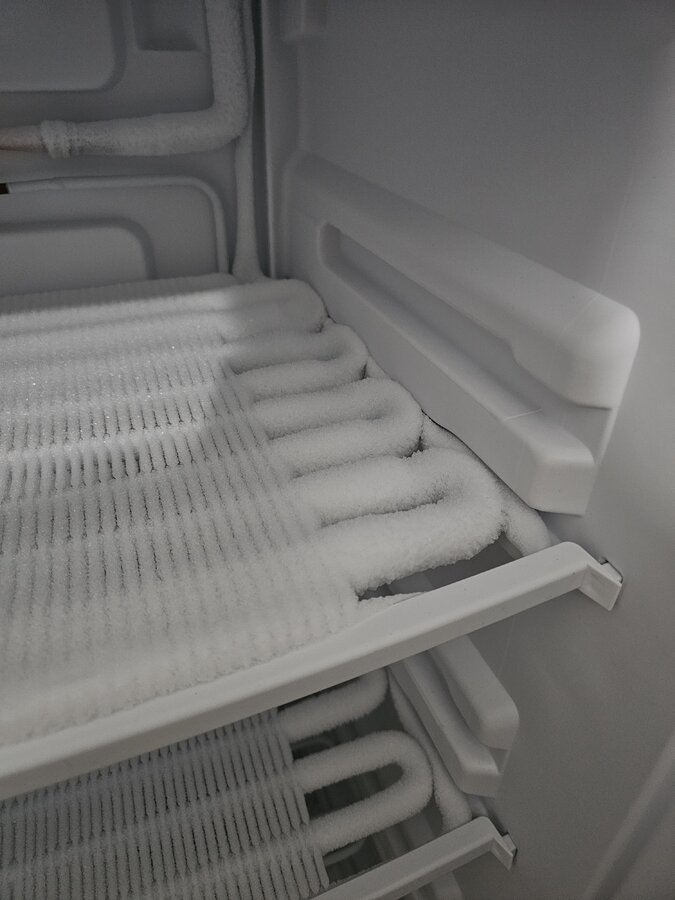 1000071204.jpg