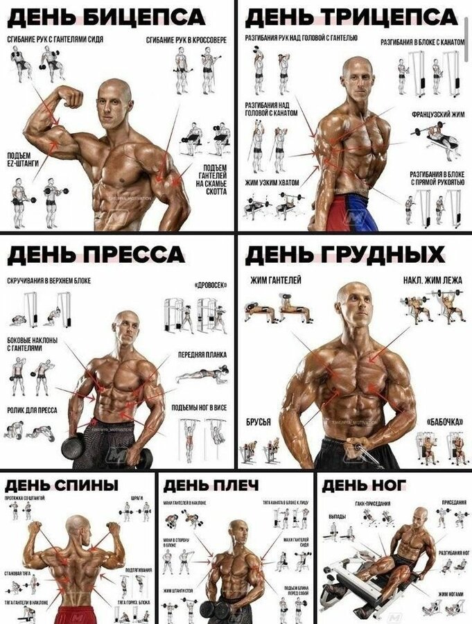 10d66c49f86240747bd4fcbb1bb9d271.jpg