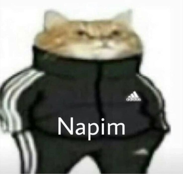 114021854c466c7e772557c91bdd9d3d.jpg