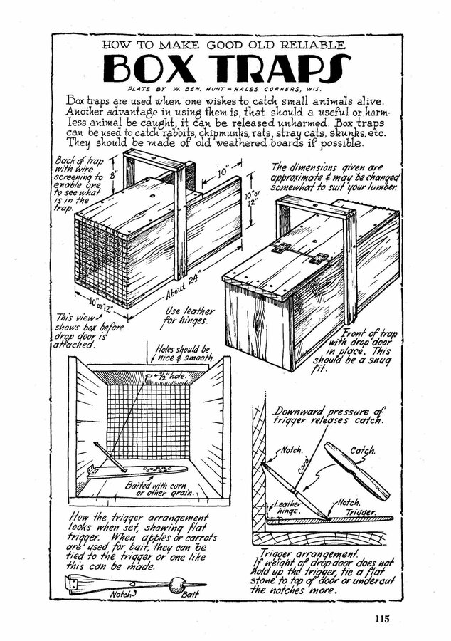 115 Box Traps 1900×2700 Sami Creates.jpg