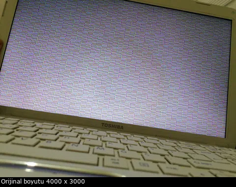 1613929562183.png