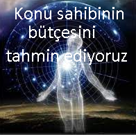 1618328274378.png